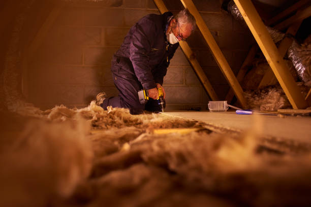 Best Insulation Installation Services in Fergus Falls, MN