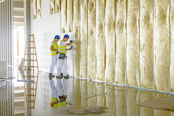 Best Insulation Maintenance and Repair in Fergus Falls, MN